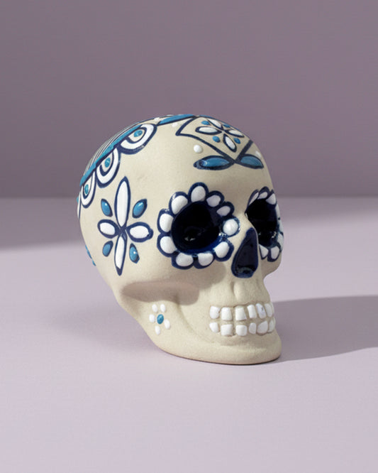 Cráneo de cerámica técnica de Servín